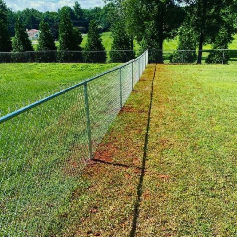 Chain Link Fence in Charlotte